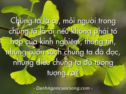 Chúng ta là ai, mỗi người trong chúng ta là ai nếu không phải tổ hợp của kinh nghiệm, thông tin, những cuốn sách chúng ta đã đọc, những điều chúng ta đã tưởng tượng ra?