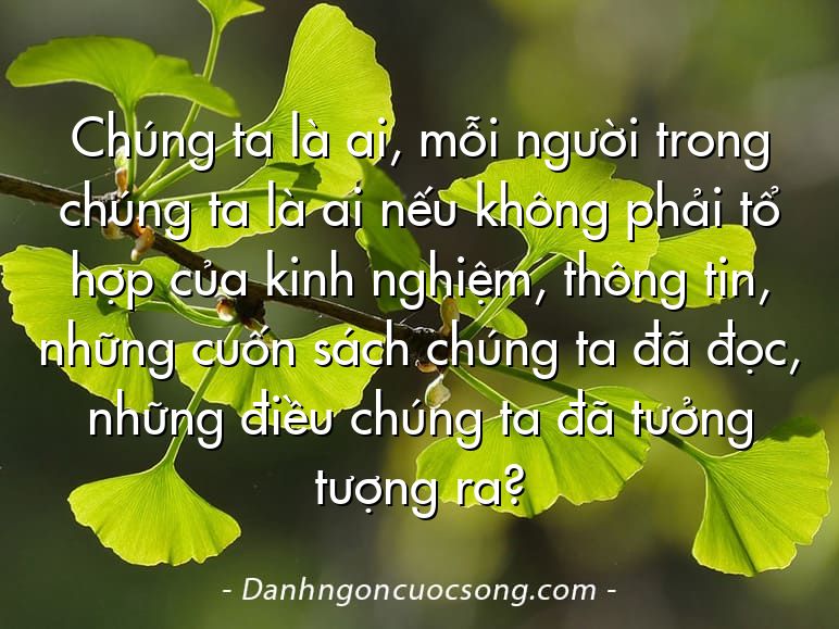 Chúng ta là ai, mỗi người trong chúng ta là ai nếu không phải tổ hợp của kinh nghiệm, thông tin, những cuốn sách chúng ta đã đọc, những điều chúng ta đã tưởng tượng ra?
