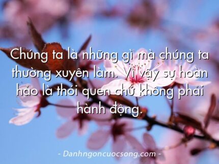 Chúng ta là những gì mà chúng ta thường xuyên làm. Vì vậy sự hoàn hảo là thói quen chứ không phải hành động.