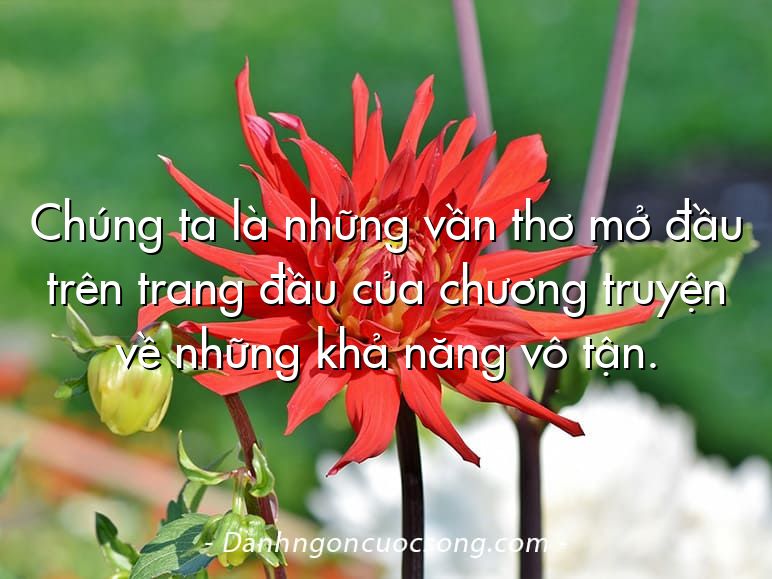 Chúng ta là những vần thơ mở đầu trên trang đầu của chương truyện về những khả năng vô tận.