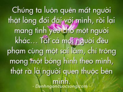 Chúng ta luôn quên mất người thật lòng đối đãi với mình, rồi lại mang tình yêu cho một người khác… Tất cả mọi người đều phạm cùng một sai lầm, chỉ trông mong một bóng hình theo mình, thật ra là người quen thuộc bên mình.