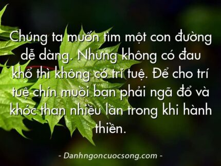 Chúng ta muốn tìm một con đường dễ dàng. Nhưng không có đau khổ thì không có trí tuệ. Để cho trí tuệ chín muồi bạn phải ngã đổ và khóc than nhiều lần trong khi hành thiền.