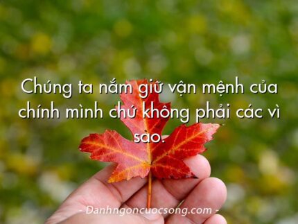 Chúng ta nắm giữ vận mệnh của chính mình chứ không phải các vì sao.