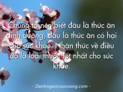 Chúng ta nên biết đâu là thức ăn dinh dưỡng, đâu là thức ăn có hại cho sức khỏe. Nhận thức về điều đó là loại thuốc tốt nhất cho sức khỏe.