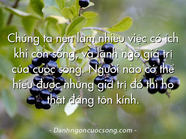 Chúng ta nên làm nhiều việc có ích khi còn sống, và lãnh ngộ giá trị của cuộc sông. Người nào có thể hiểu được những giá trị đó thì họ thật đáng tôn kính.