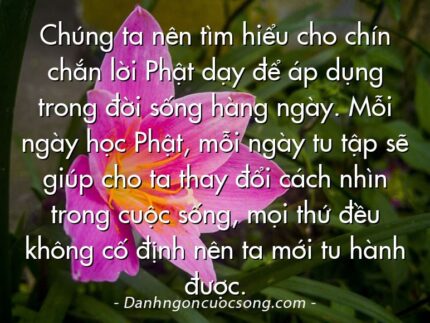 Chúng ta nên tìm hiểu cho chín chắn lời Phật dạy để áp dụng trong đời sống hàng ngày. Mỗi ngày học Phật, mỗi ngày tu tập sẽ giúp cho ta thay đổi cách nhìn trong cuộc sống, mọi thứ đều không cố định nên ta mới tu hành được.
