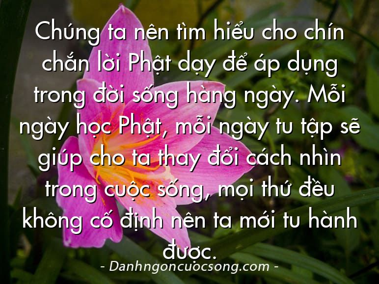 Chúng ta nên tìm hiểu cho chín chắn lời Phật dạy để áp dụng trong đời sống hàng ngày. Mỗi ngày học Phật, mỗi ngày tu tập sẽ giúp cho ta thay đổi cách nhìn trong cuộc sống, mọi thứ đều không cố định nên ta mới tu hành được.
