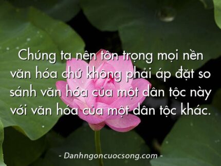 Chúng ta nên tôn trọng mọi nền văn hóa chứ không phải áp đặt so sánh văn hóa của một dân tộc này với văn hóa của một dân tộc khác.