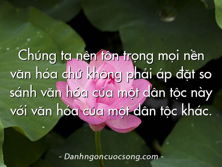 Chúng ta nên tôn trọng mọi nền văn hóa chứ không phải áp đặt so sánh văn hóa của một dân tộc này với văn hóa của một dân tộc khác.