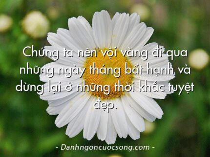 Chúng ta nên vội vàng đi qua những ngày tháng bất hạnh và dừng lại ở những thời khắc tuyệt đẹp.