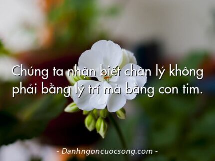 Chúng ta nhận biết chân lý không phải bằng lý trí mà bằng con tim.