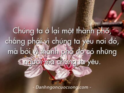 Chúng ta ở lại một thành phố, chẳng phải vì chúng ta yêu nơi đó, mà bởi vì thành phố đó có những người mà chúng ta yêu.