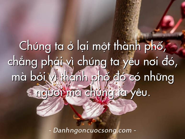 Chúng ta ở lại một thành phố, chẳng phải vì chúng ta yêu nơi đó, mà bởi vì thành phố đó có những người mà chúng ta yêu.