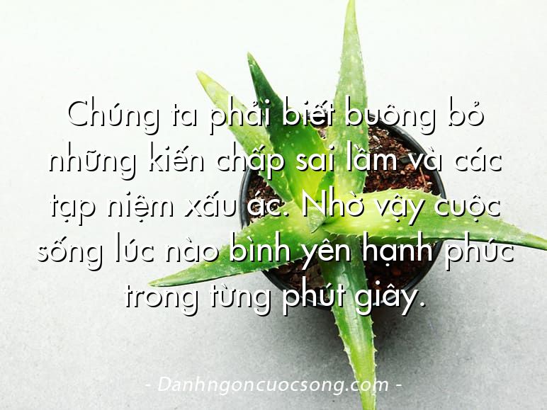 Chúng ta phải biết buông bỏ những kiến chấp sai lầm và các tạp niệm xấu ác. Nhờ vậy cuộc sống lúc nào bình yên hạnh phúc trong từng phút giây.