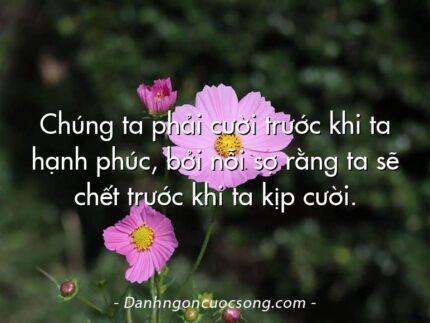 Chúng ta phải cười trước khi ta hạnh phúc, bởi nỗi sợ rằng ta sẽ chết trước khi ta kịp cười.