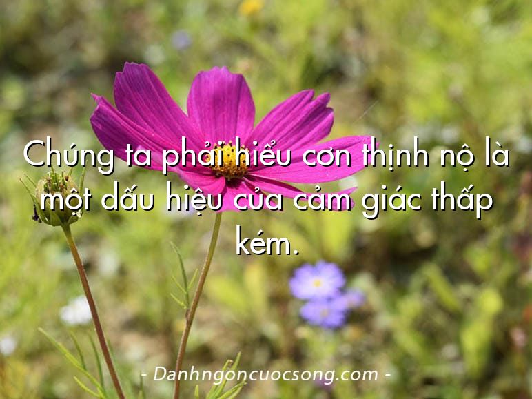 Chúng ta phải hiểu cơn thịnh nộ là một dấu hiệu của cảm giác thấp kém.