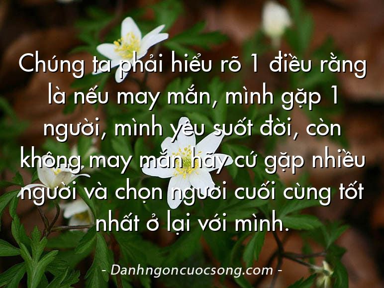 Chúng ta phải hiểu rõ 1 điều rằng là nếu may mắn, mình gặp 1 người, mình yêu suốt đời, còn không may mắn hãy cứ gặp nhiều người và chọn người cuối cùng tốt nhất ở lại với mình.