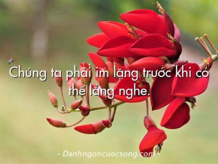 Chúng ta phải im lặng trước khi có thể lắng nghe.