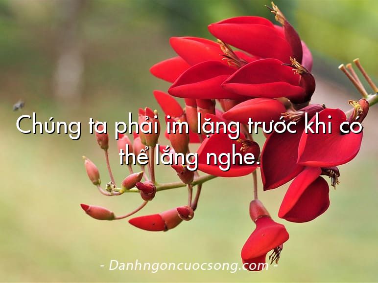 Chúng ta phải im lặng trước khi có thể lắng nghe.
