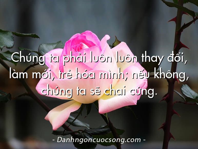 Chúng ta phải luôn luôn thay đổi, làm mới, trẻ hóa mình; nếu không, chúng ta sẽ chai cứng.