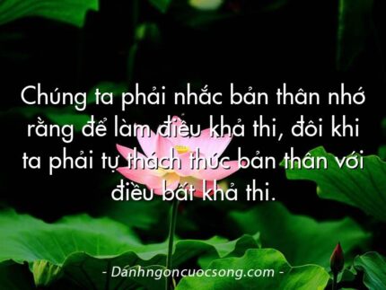 Chúng ta phải nhắc bản thân nhớ rằng để làm điều khả thi, đôi khi ta phải tự thách thức bản thân với điều bất khả thi.