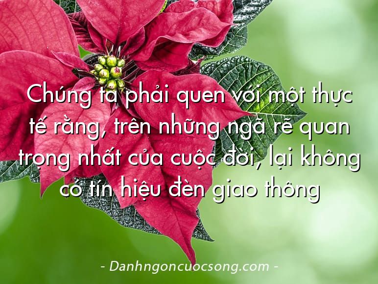 Chúng ta phải quen với một thực tế rằng, trên những ngã rẽ quan trọng nhất của cuộc đời, lại không có tín hiệu đèn giao thông