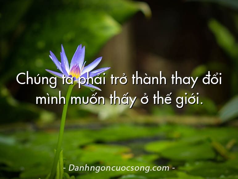 Chúng ta phải trở thành thay đổi mình muốn thấy ở thế giới.