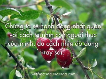 Chúng ta sẽ hành động nhất quán với cách ta nhìn con người thực của mình, dù cách nhìn đó đúng hay sai.