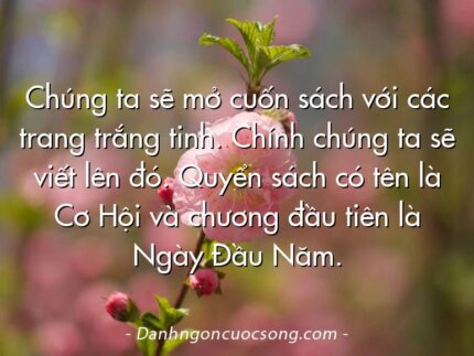 Chúng ta sẽ mở cuốn sách với các trang trắng tinh. Chính chúng ta sẽ viết lên đó. Quyển sách có tên là Cơ Hội và chương đầu tiên là Ngày Đầu Năm.