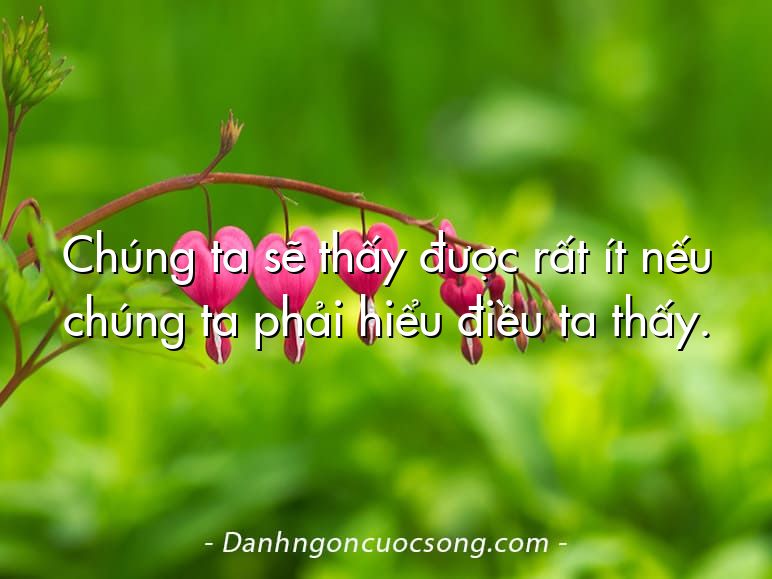 Chúng ta sẽ thấy được rất ít nếu chúng ta phải hiểu điều ta thấy.