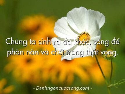 Chúng ta sinh ra đã khóc, sống để phàn nàn và chết trong thất vọng.