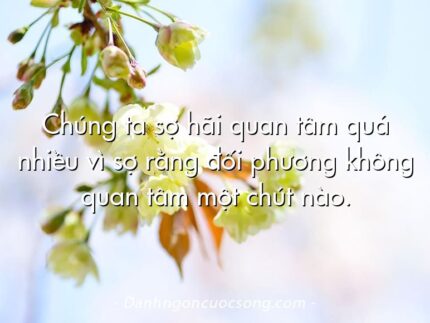 Chúng ta sợ hãi quan tâm quá nhiều vì sợ rằng đối phương không quan tâm một chút nào.