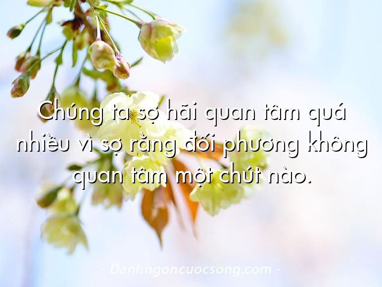 Chúng ta sợ hãi quan tâm quá nhiều vì sợ rằng đối phương không quan tâm một chút nào.