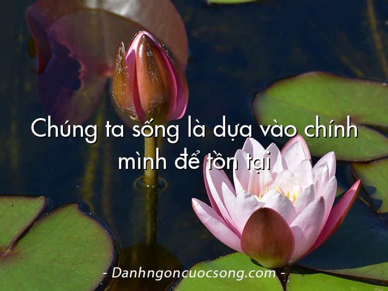 Chúng ta sống là dựa vào chính mình để tồn tại