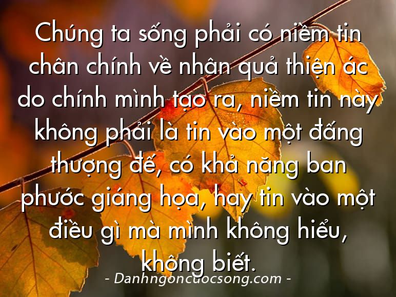 Chúng ta sống phải có niềm tin chân chính về nhân quả thiện ác do chính mình tạo ra, niềm tin này không phải là tin vào một đấng thượng đế, có khả năng ban phước giáng họa, hay tin vào một điều gì mà mình không hiểu, không biết.
