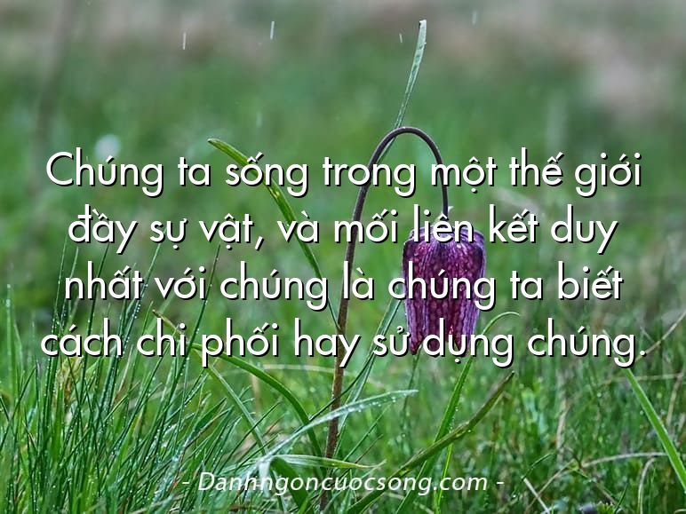 Chúng ta sống trong một thế giới đầy sự vật, và mối liên kết duy nhất với chúng là chúng ta biết cách chi phối hay sử dụng chúng.