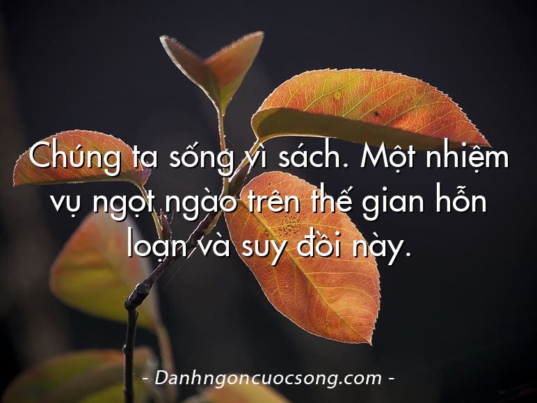 Chúng ta sống vì sách. Một nhiệm vụ ngọt ngào trên thế gian hỗn loạn và suy đồi này.