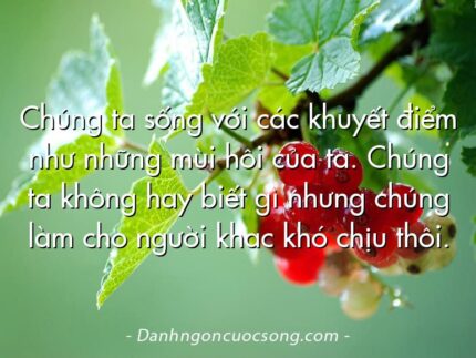Chúng ta sống với các khuyết điểm như những mùi hôi của ta. Chúng ta không hay biết gì nhưng chúng làm cho người khac khó chịu thôi.