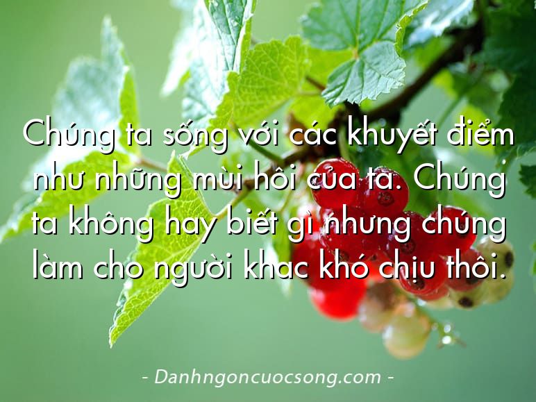 Chúng ta sống với các khuyết điểm như những mùi hôi của ta. Chúng ta không hay biết gì nhưng chúng làm cho người khac khó chịu thôi.