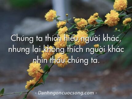 Chúng ta thích hiểu người khác, nhưng lại không thích người khác nhìn thấu chúng ta.