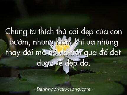 Chúng ta thích thú cái đẹp của con bướm, nhưng hiếm khi ưa những thay đổi mà nó đã trải qua để đạt được vẻ đẹp đó.
