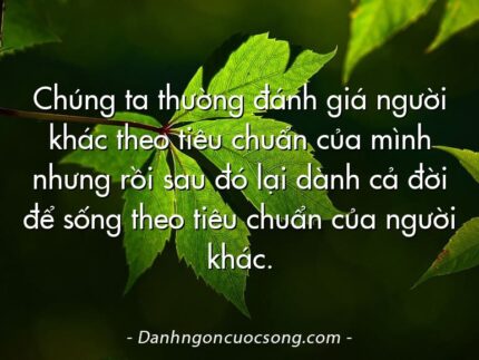 Chúng ta thường đánh giá người khác theo tiêu chuẩn của mình nhưng rồi sau đó lại dành cả đời để sống theo tiêu chuẩn của người khác.