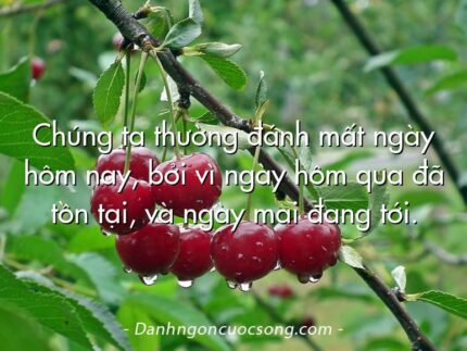 Chúng ta thường đánh mất ngày hôm nay, bởi vì ngày hôm qua đã tồn tại, và ngày mai đang tới.