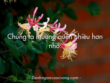 Chúng ta thường quên nhiều hơn nhớ.