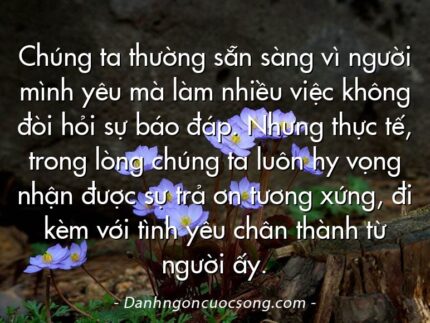Chúng ta thường sẵn sàng vì người mình yêu mà làm nhiều việc không đòi hỏi sự báo đáp. Nhưng thực tế, trong lòng chúng ta luôn hy vọng nhận được sự trả ơn tương xứng, đi kèm với tình yêu chân thành từ người ấy.