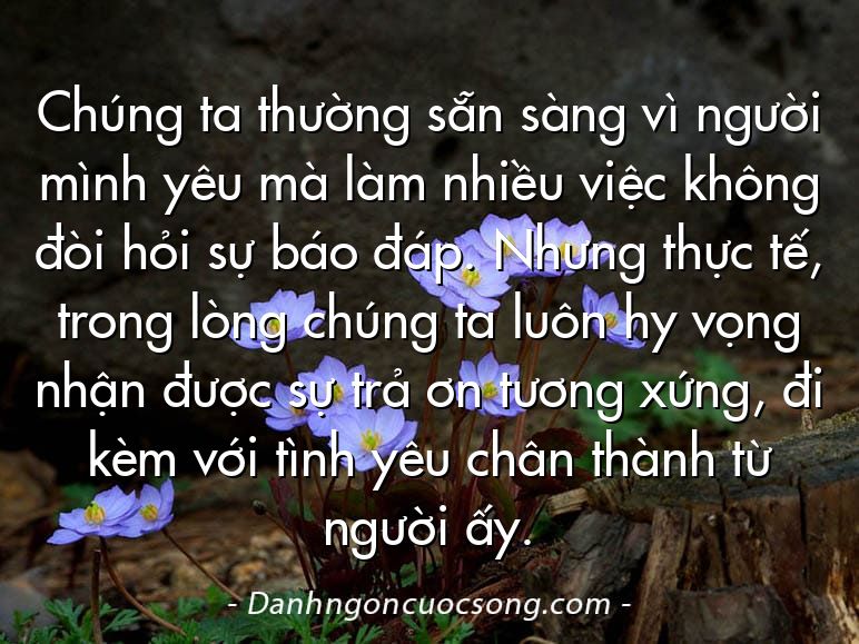 Chúng ta thường sẵn sàng vì người mình yêu mà làm nhiều việc không đòi hỏi sự báo đáp. Nhưng thực tế, trong lòng chúng ta luôn hy vọng nhận được sự trả ơn tương xứng, đi kèm với tình yêu chân thành từ người ấy.
