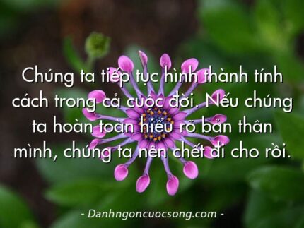 Chúng ta tiếp tục hình thành tính cách trong cả cuộc đời. Nếu chúng ta hoàn toàn hiểu rõ bản thân mình, chúng ta nên chết đi cho rồi.