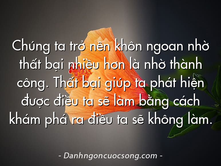 Chúng ta trở nên khôn ngoan nhờ thất bại nhiều hơn là nhờ thành công. Thất bại giúp ta phát hiện được điều ta sẽ làm bằng cách khám phá ra điều ta sẽ không làm.
