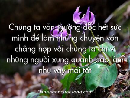 Chúng ta vẫn thường dốc hết sức mình để làm những chuyện vốn chẳng hợp với chúng ta chỉ vì những người xung quanh bảo làm nhu vậy mới tốt