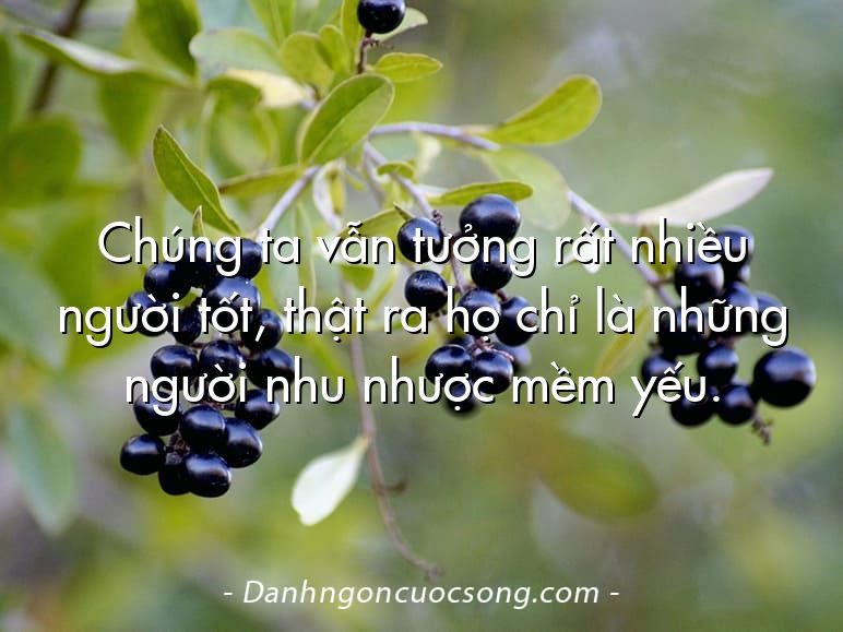 Chúng ta vẫn tưởng rất nhiều người tốt, thật ra họ chỉ là những người nhu nhược mềm yếu.
